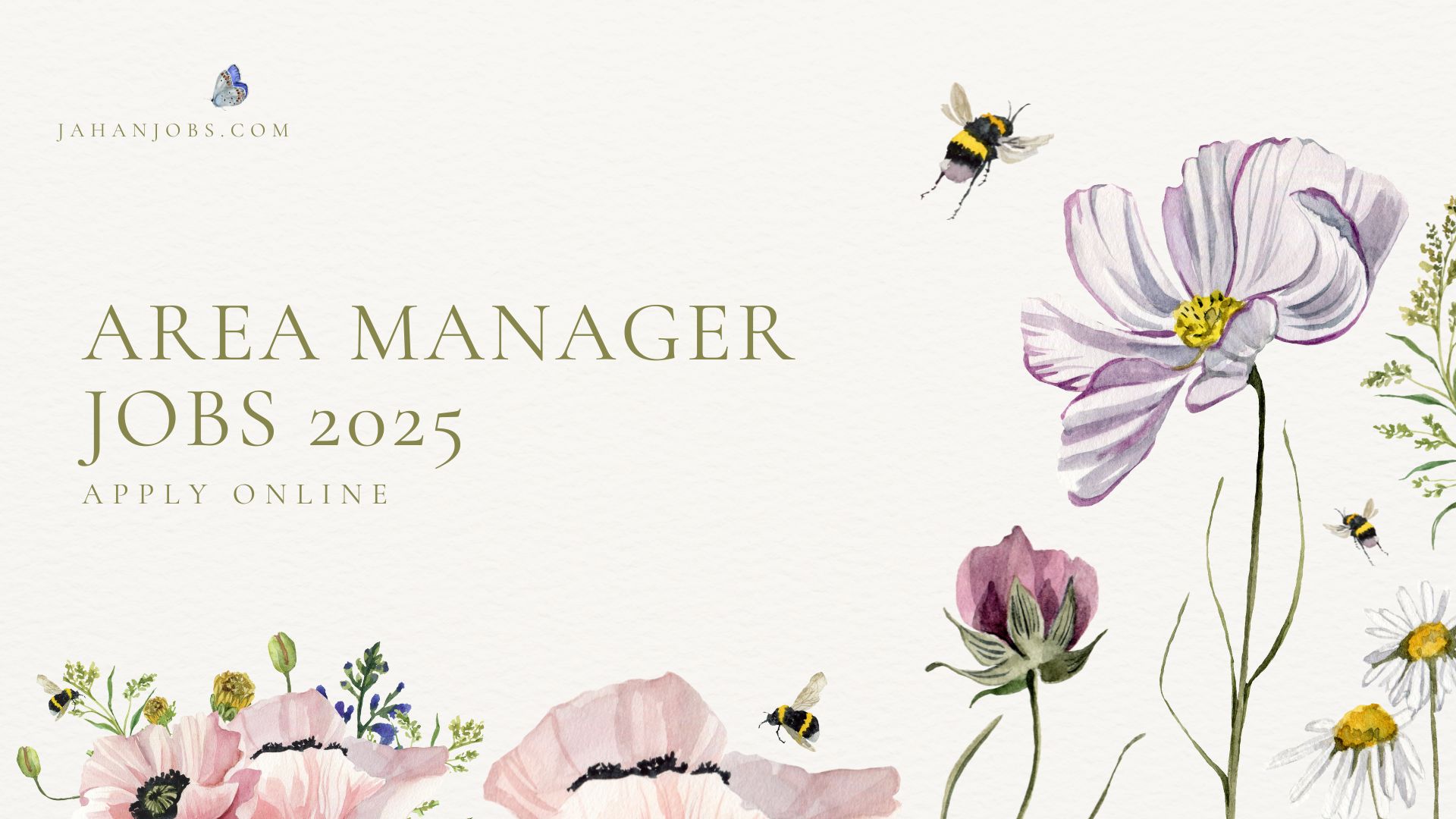 Area Manager Jobs